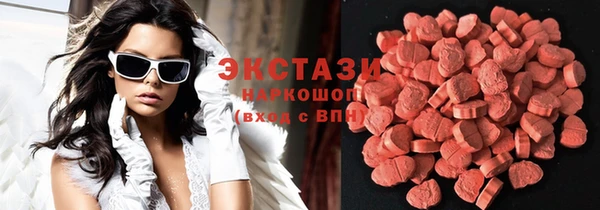 прущие грибы Беломорск