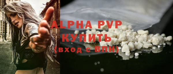 прущие грибы Беломорск