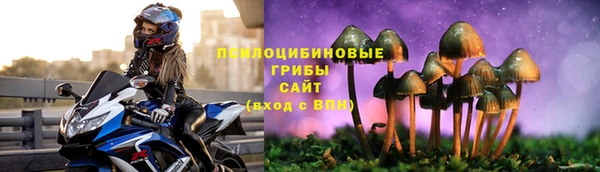 прущие крисы Белоозёрский
