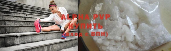 прущие грибы Беломорск