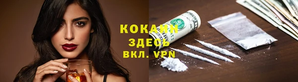прущие грибы Беломорск