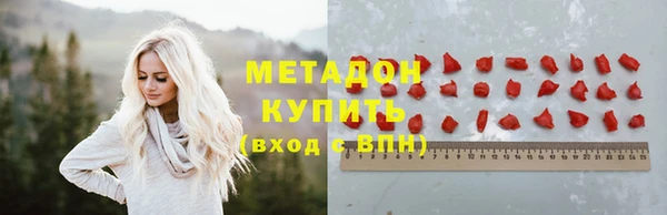 прущие грибы Беломорск