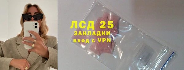 прущие грибы Беломорск