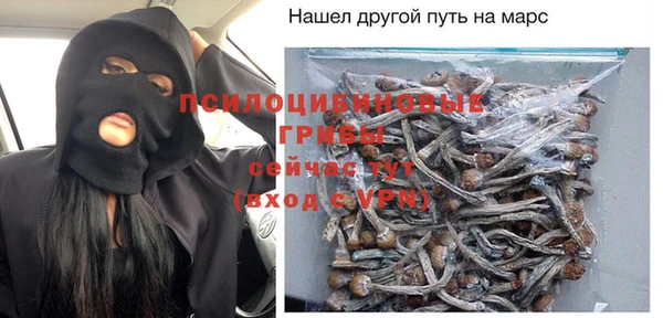 прущие грибы Беломорск