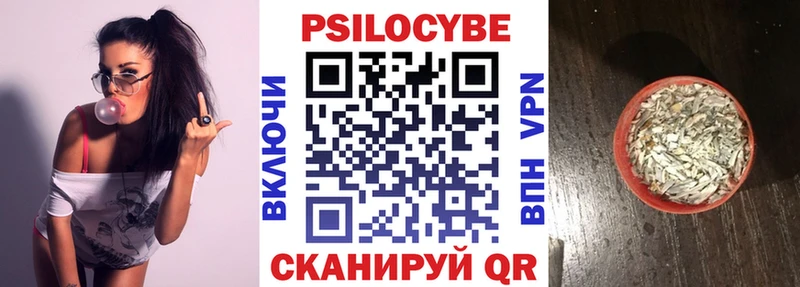Купить где  Малая Вишера  Псилоцибиновые грибы Psilocybine cubensis 